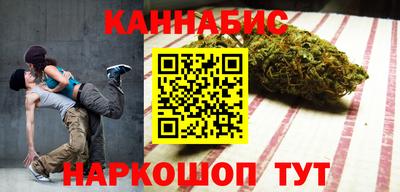 гидра Камень-на-Оби