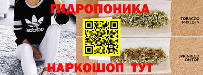 apvp Ивантеевка