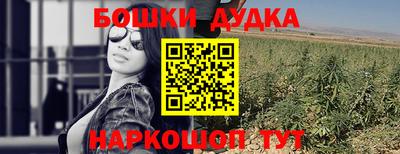 гидра Камень-на-Оби