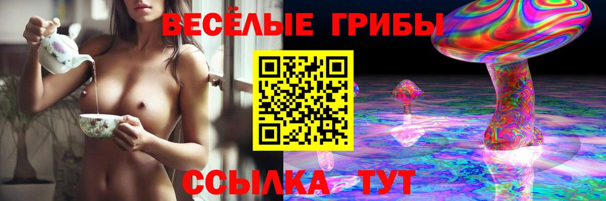 Псилоцибиновые грибы MAGIC MUSHROOMS  Вход с VPN  Уварово  Галлюциногенные грибы прущие грибы 