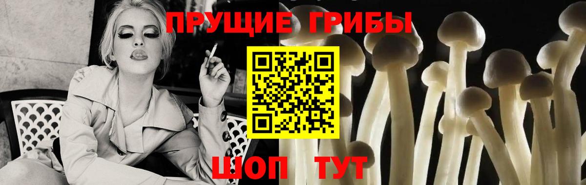 Галлюциногенные грибы Psilocybine cubensis Уварово